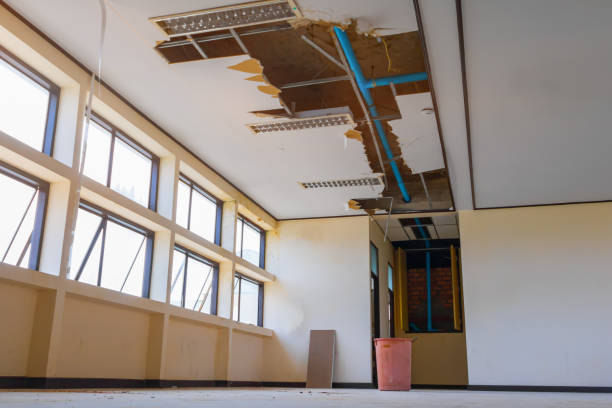 Best Fire Damage Restoration  in Mars, PA