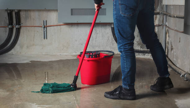 Best Mold removal after water damage  in Mars, PA