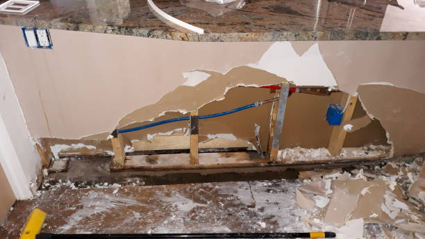 Best Professional water damage repair  in Mars, PA