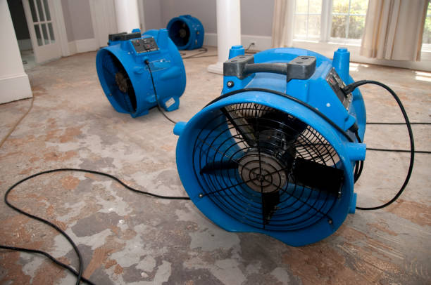 Best Water damage mitigation services  in Mars, PA